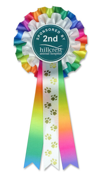2 tier rianbow dog show rosette