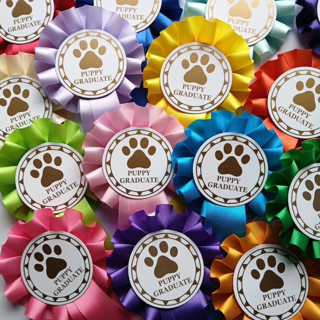 puppy graduate rosettes