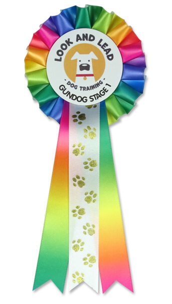 1 tier rainbow dog show rosette