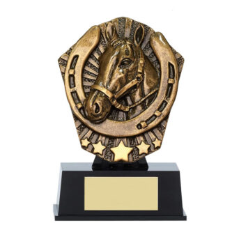 Cosmos Mini Shield Equestrian Award