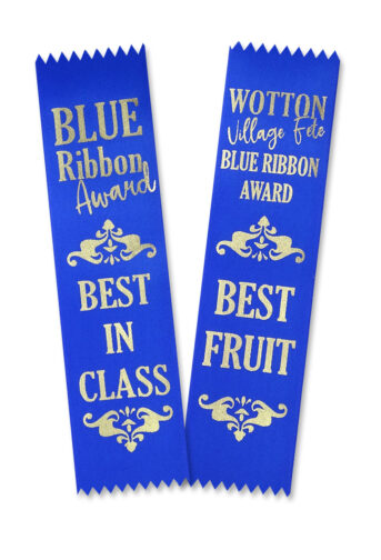 blue ribbon award